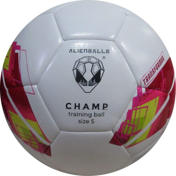 Champ training ball size 5